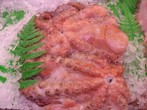 PULPO DE ROCA