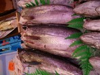 MERLUZA