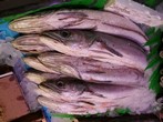 PESCADILLA BLANCA